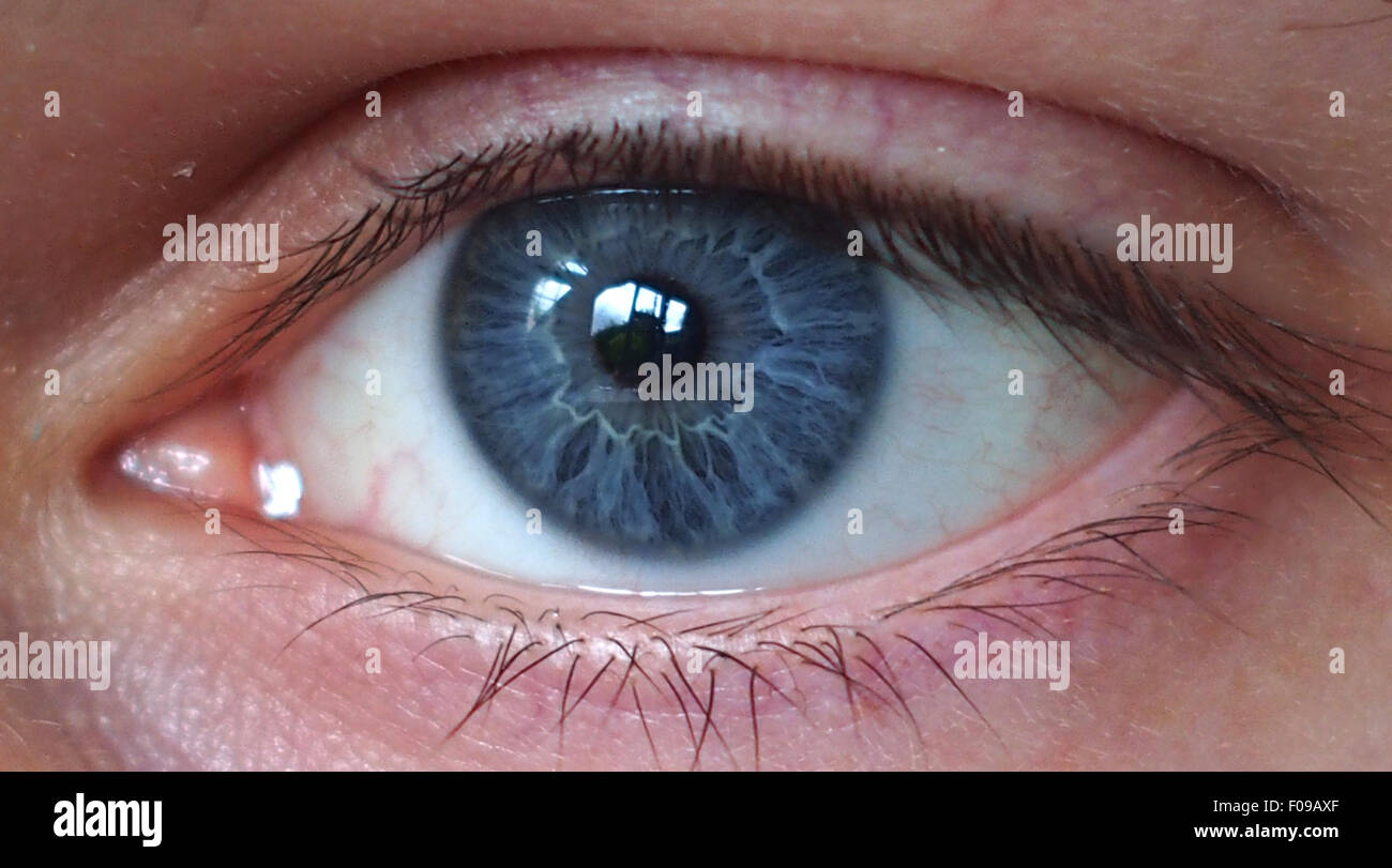 Eye_socket hires stock photography and images Alamy