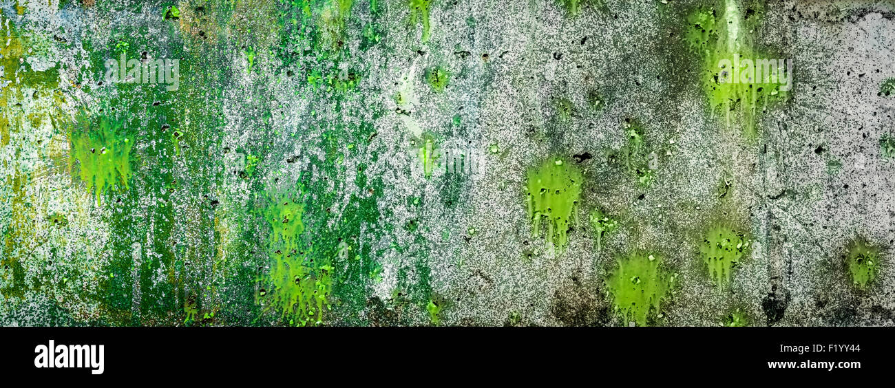 Green and gray colors hires stock photography and images Alamy