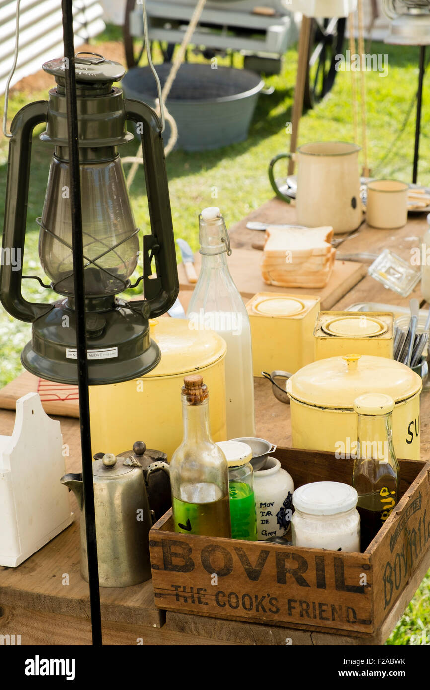 History Alive Subscription at Roy Ferrell blog