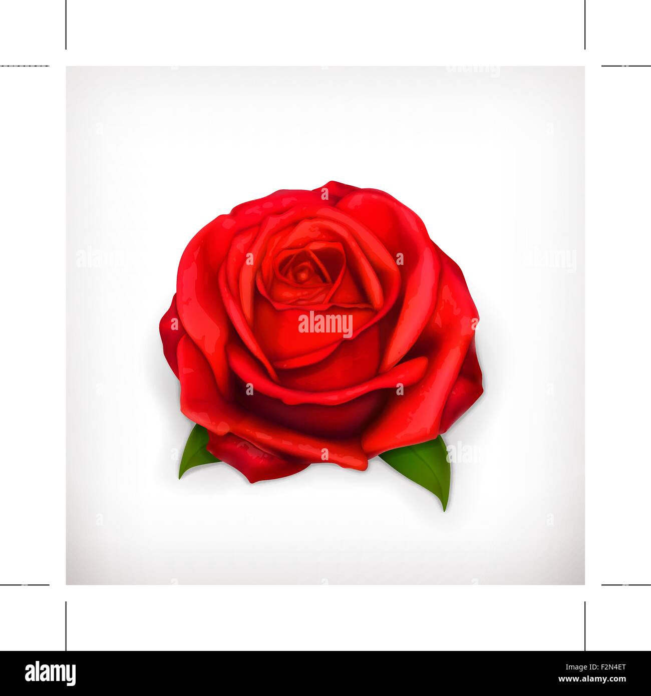 Red rose vector Stock Vector Image & Art Alamy