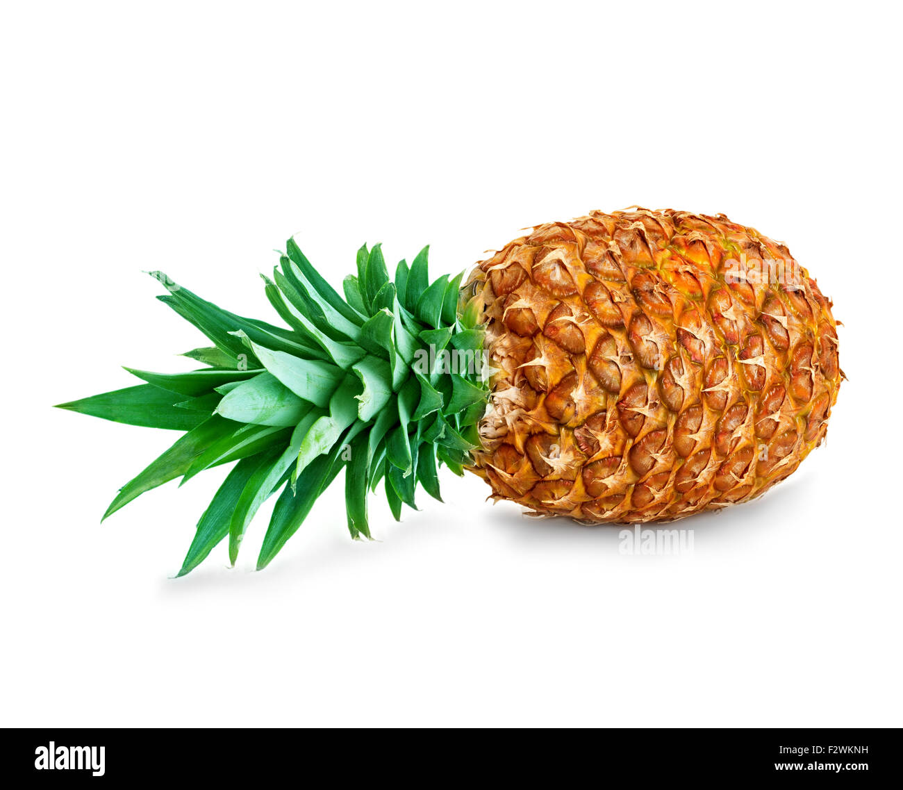 Pineapple isolated hires stock photography and images Alamy