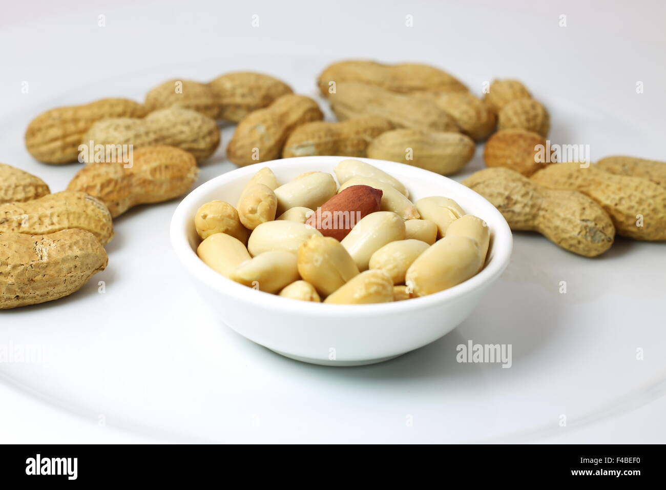 peanut Stock Photo Alamy