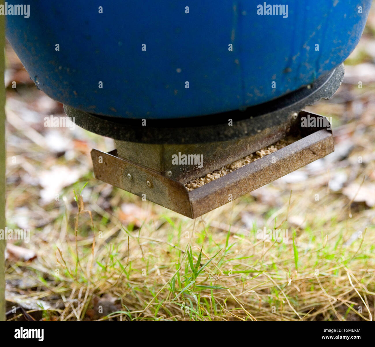 pheasant feeder Stock Photo Alamy