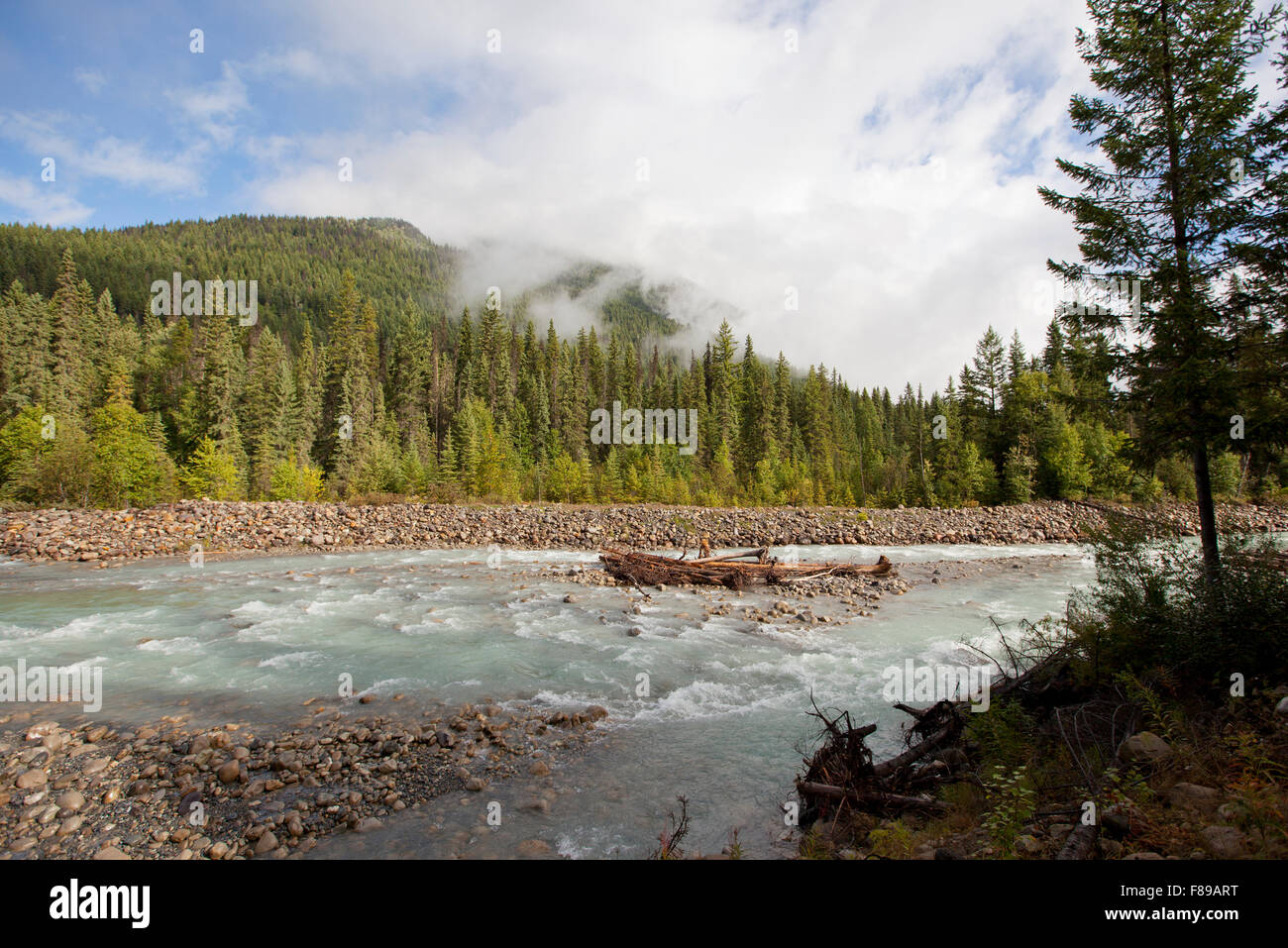 fraser river bc canada Stock Photo Alamy