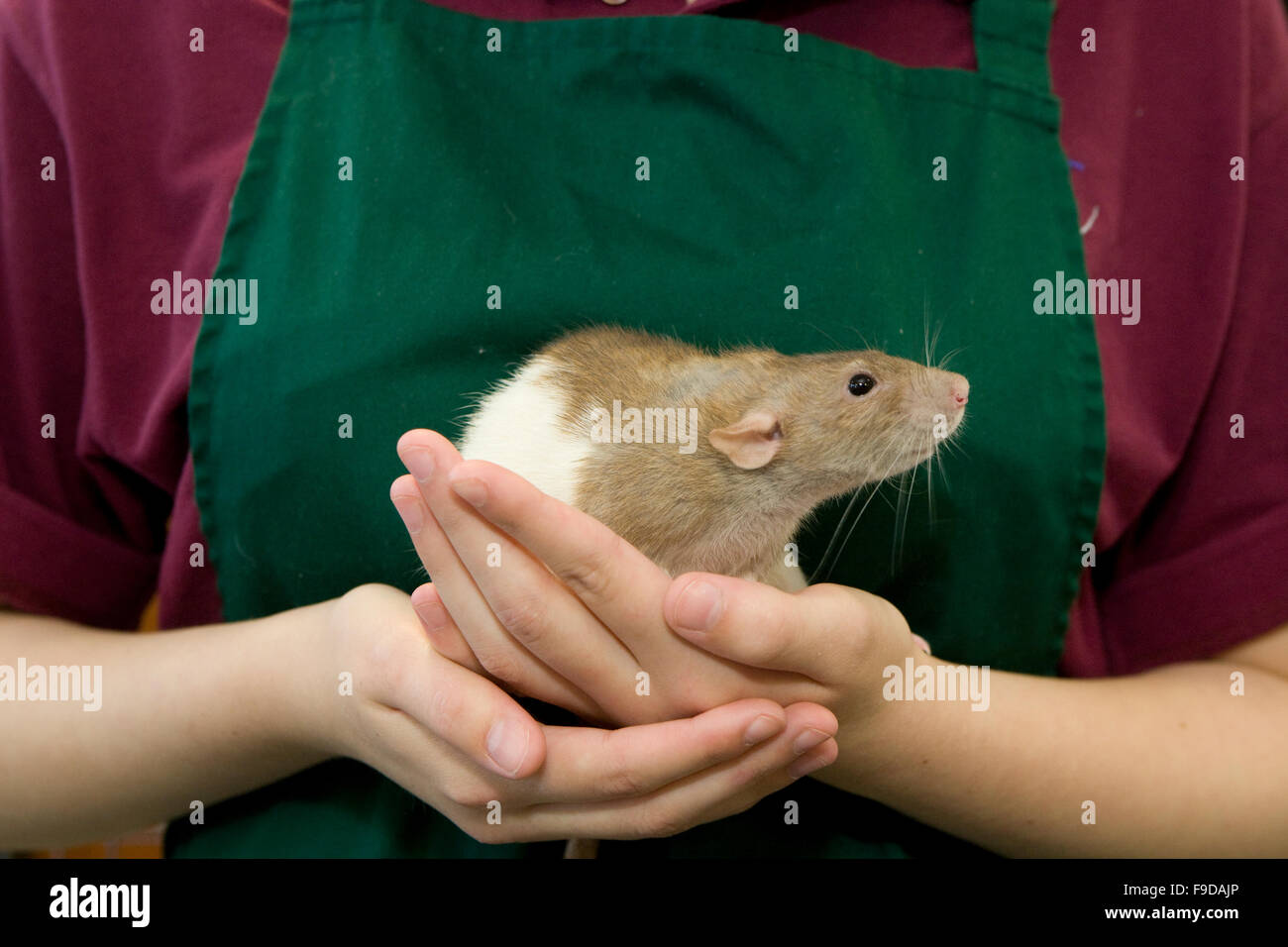 Welfare Stock Photos & Welfare Stock Images Alamy