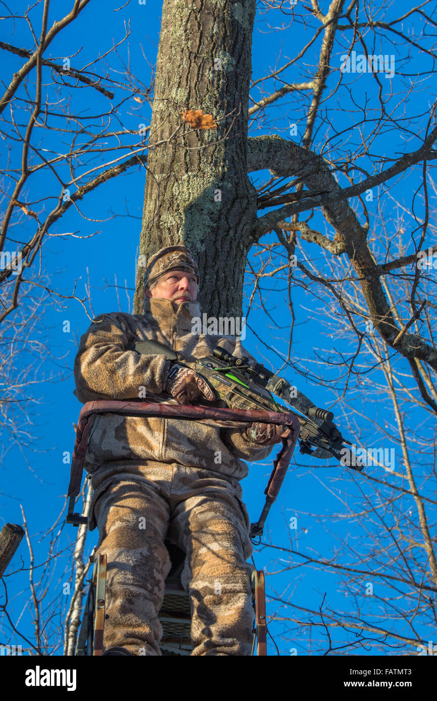 Crossbow hunter in a tree stand Stock Photo Alamy