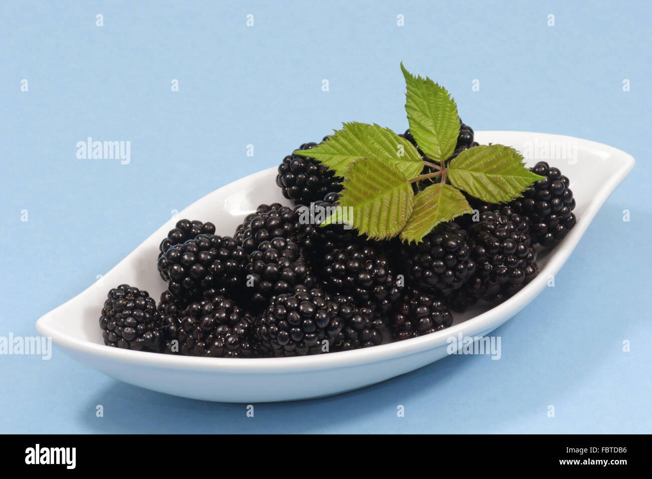 Blackberries Stock Photo Alamy