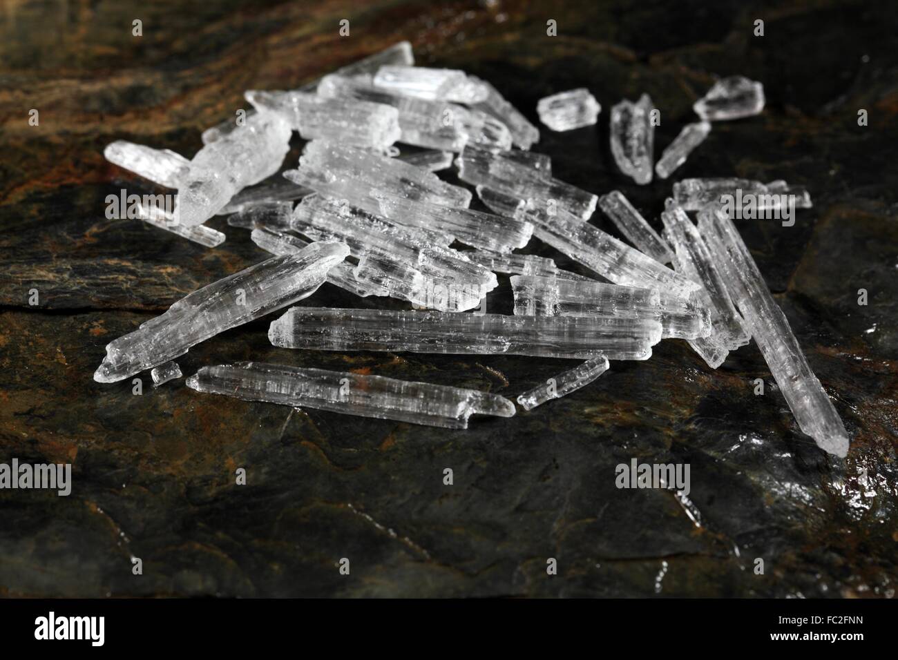 Are Menthol Crystals Safe For Dogs