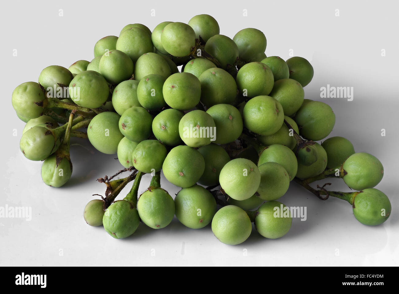 Wild eggplant hires stock photography and images Alamy