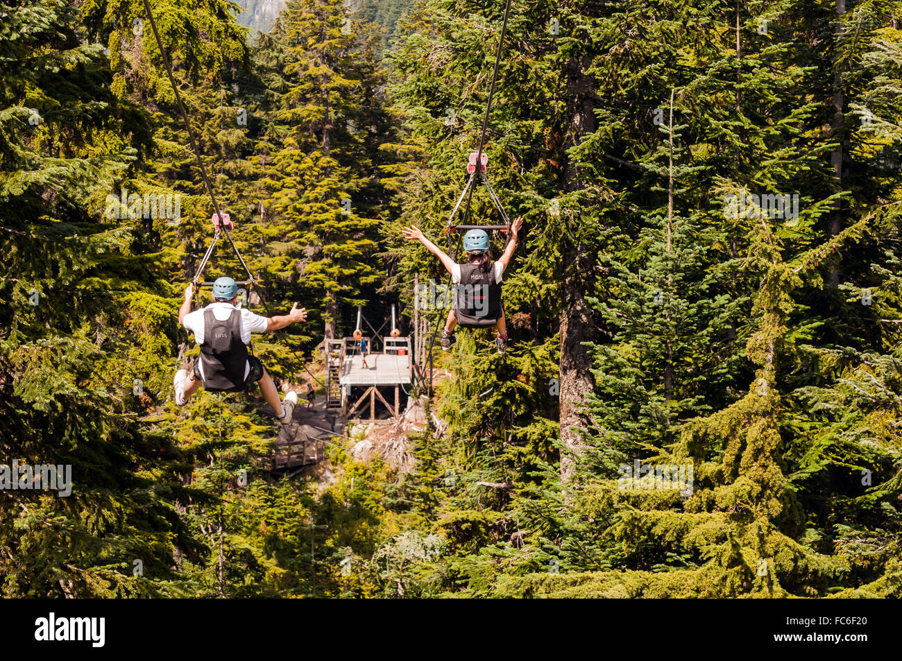 Canada Zip Lining Stock Photo Alamy