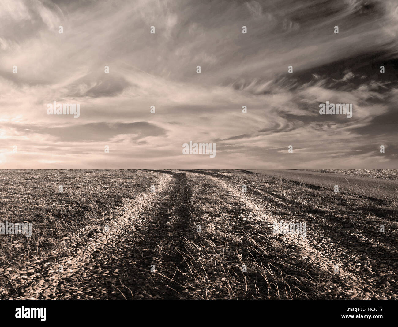 Bleak landscape hires stock photography and images Alamy