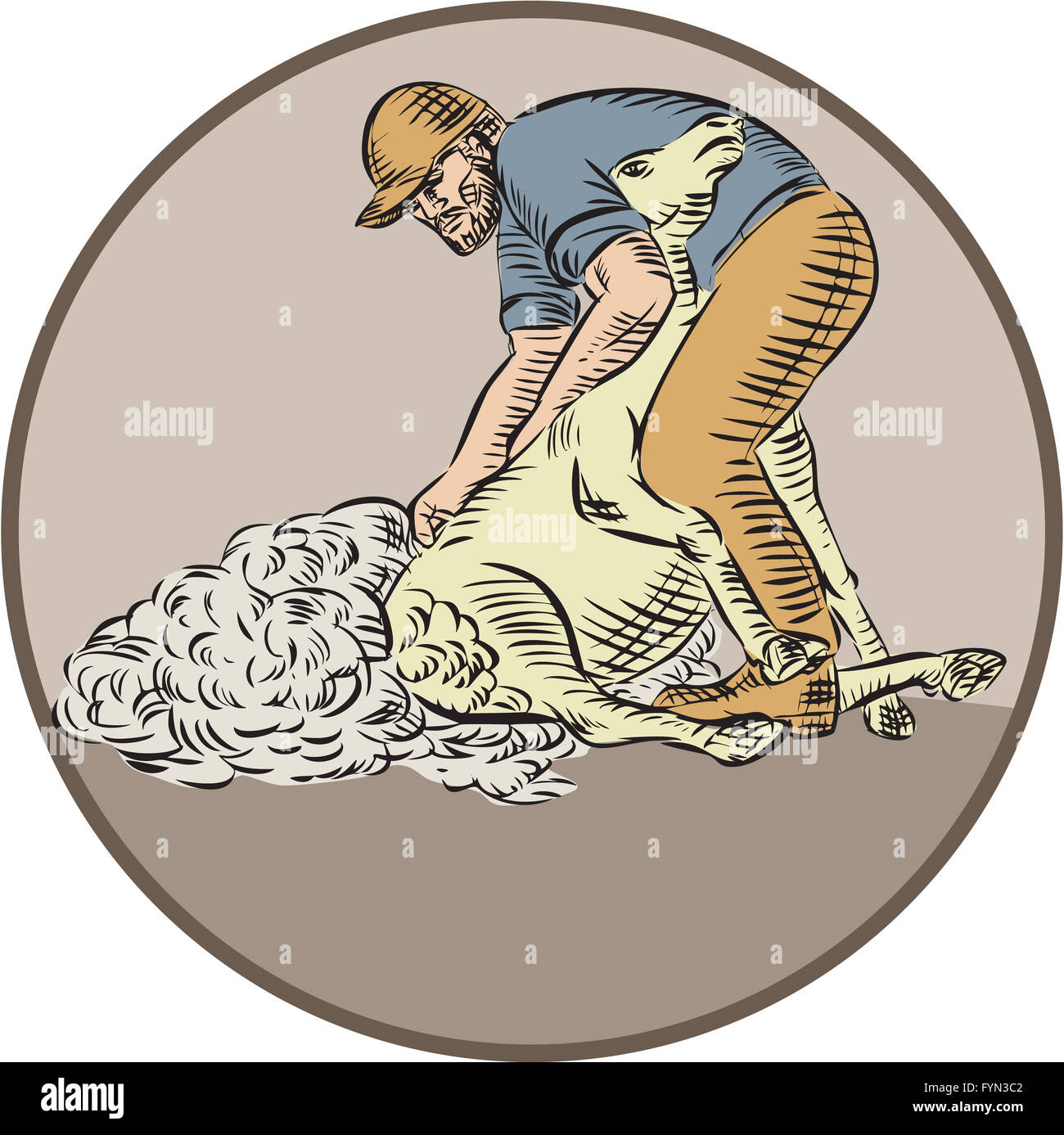Farmworker Shearing Sheep Circle Etching Stock Photo Alamy