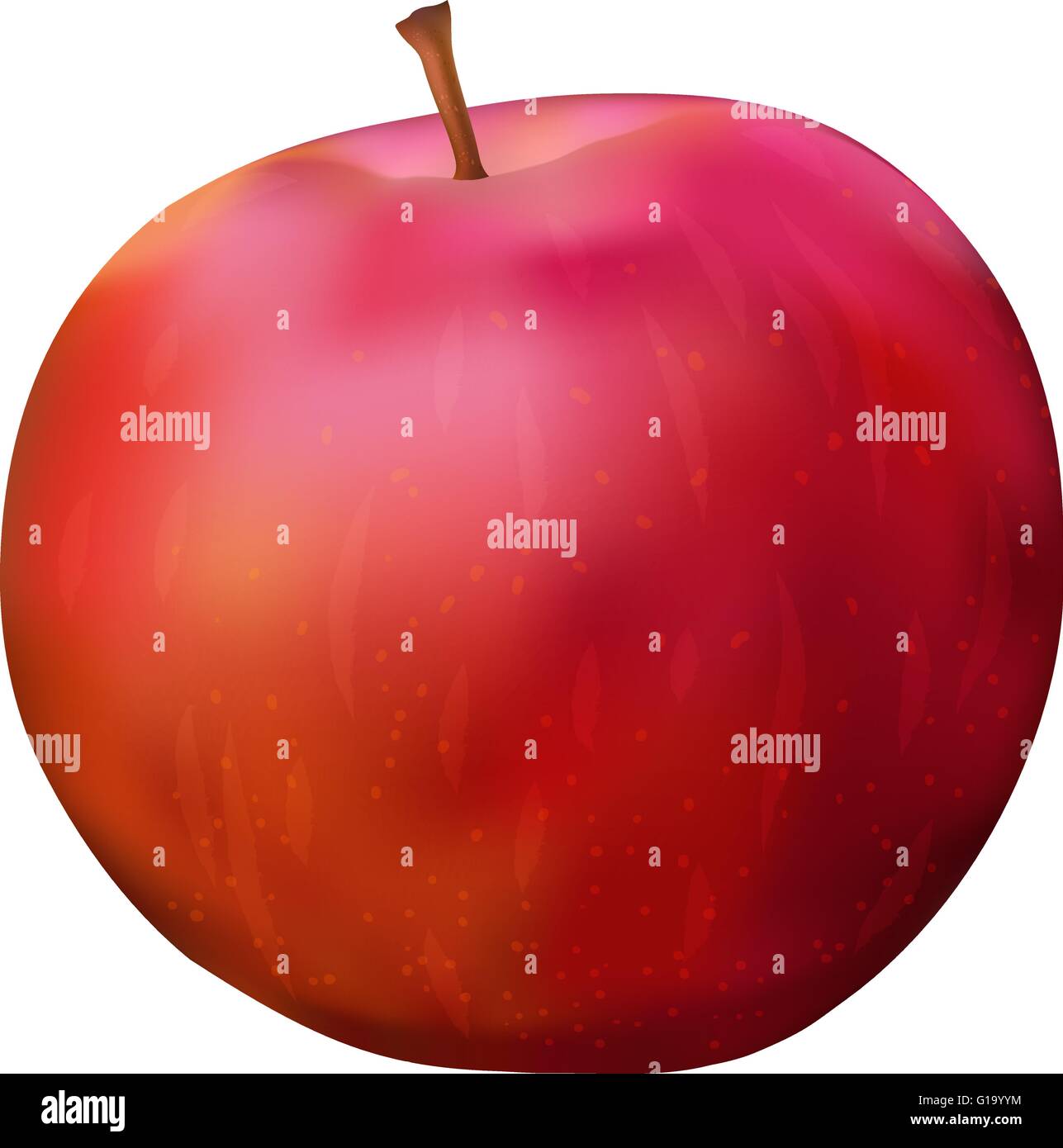 Red apple close up Stock Vector Images Alamy