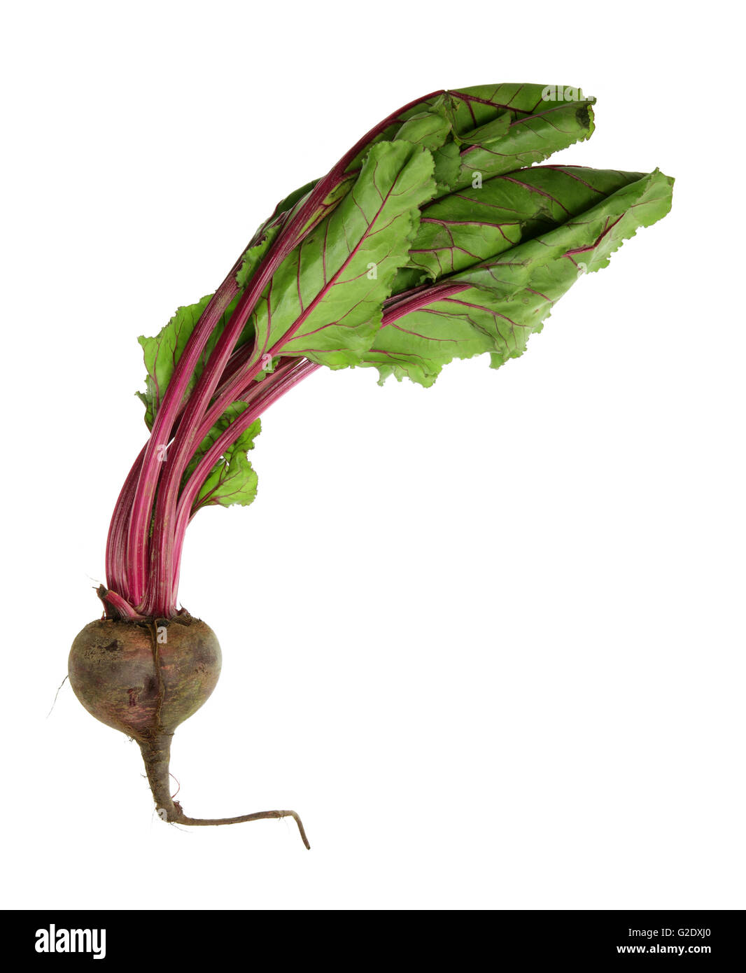 Beetroot with leaves hires stock photography and images Alamy