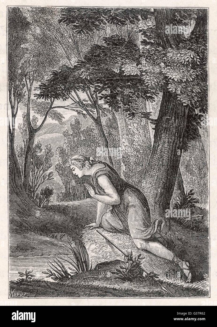 Narcissus mythology hires stock photography and images Alamy