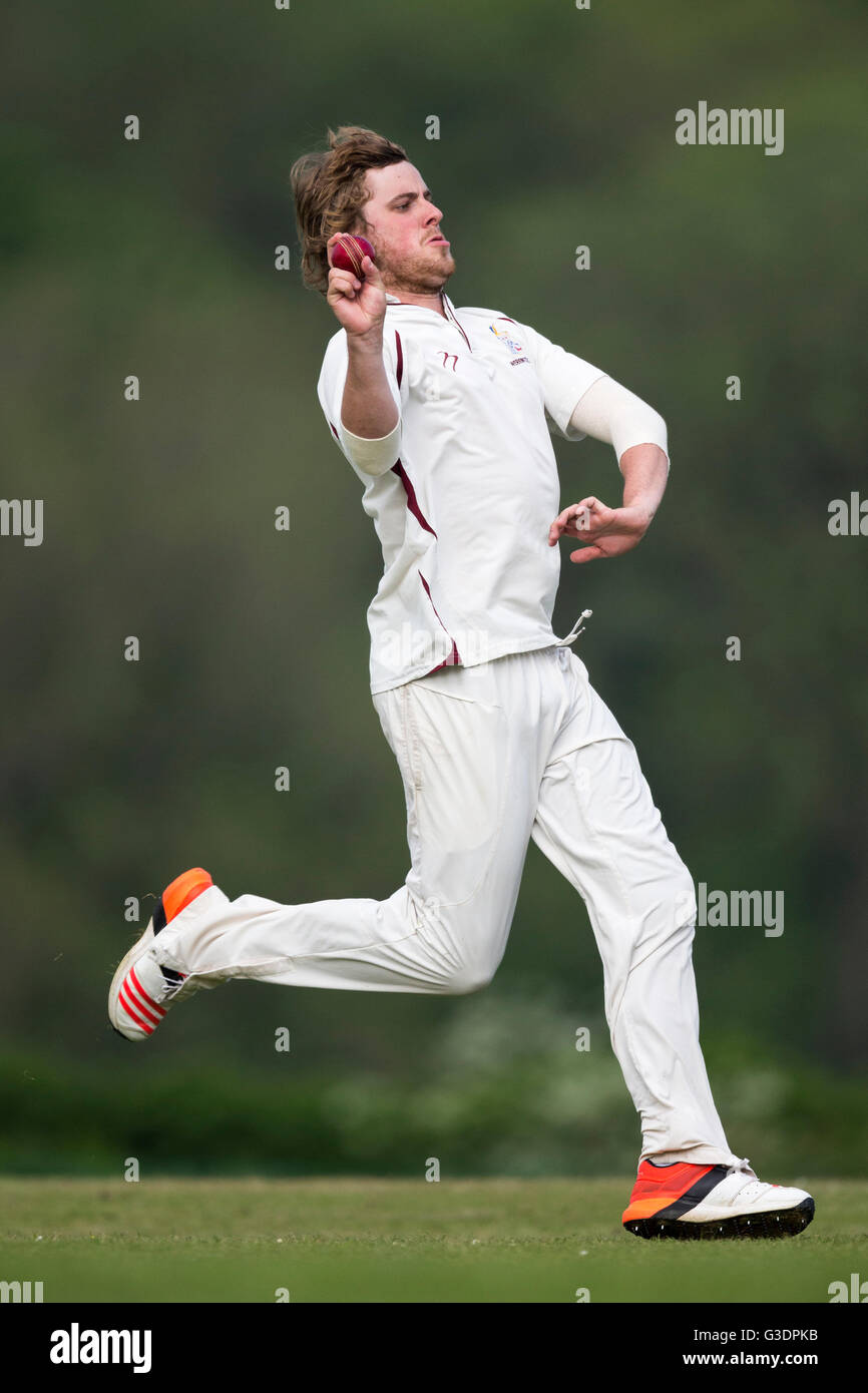 cricket, bowler in action Stock Photo Alamy