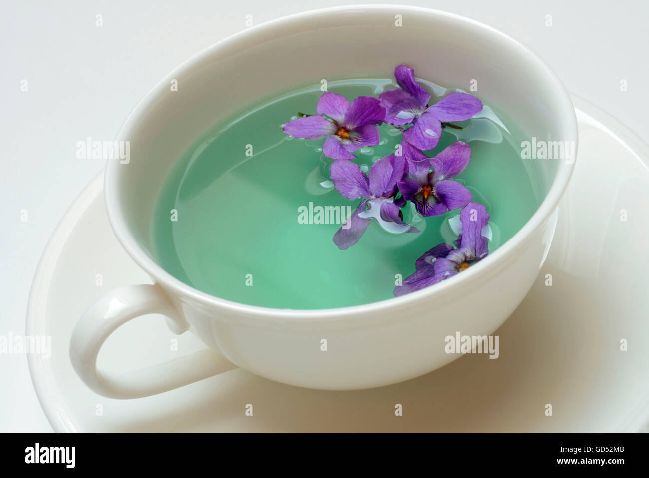 Violet tea / (Viola odorata Stock Photo Alamy