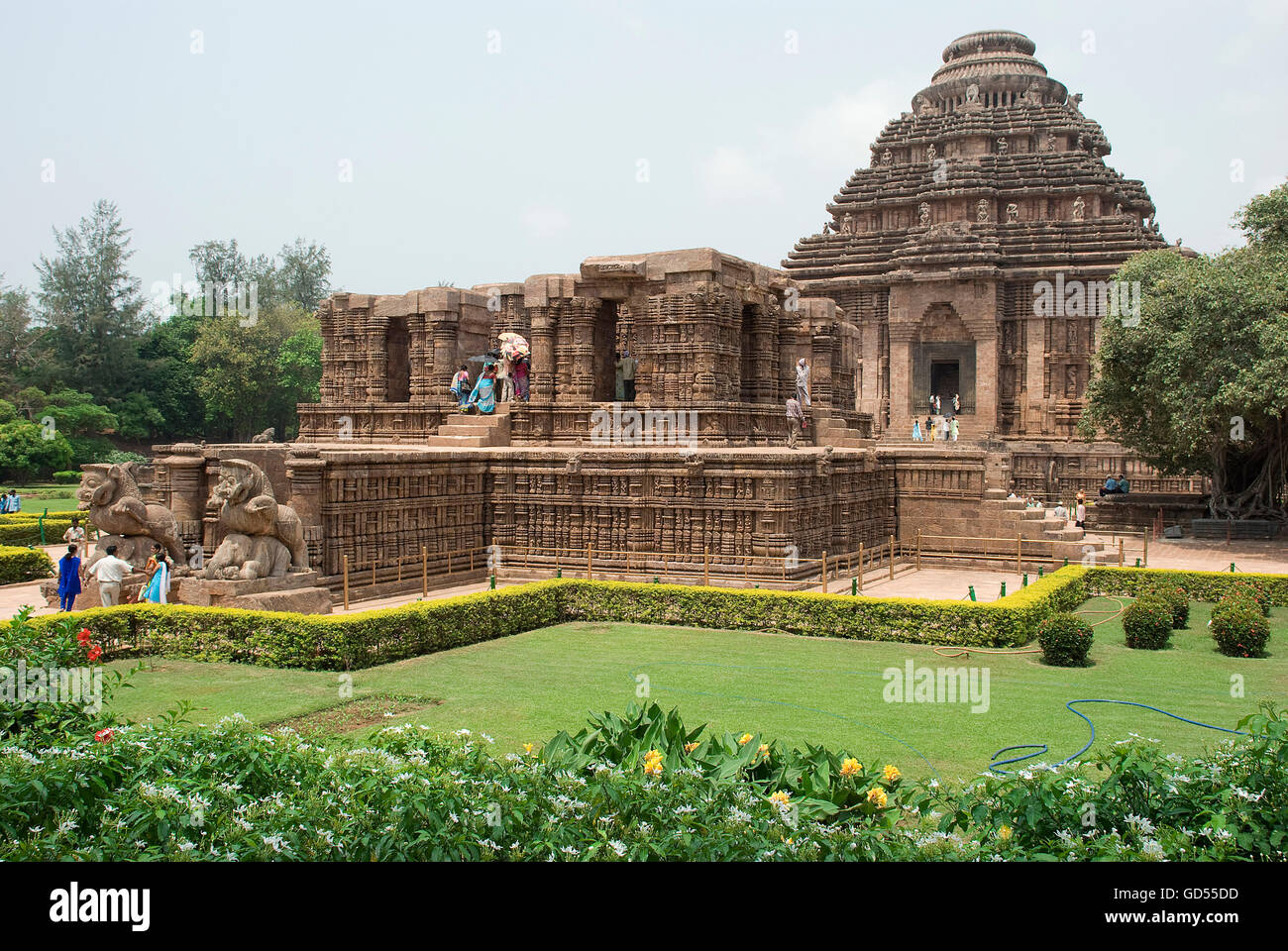 Konark Sun Temple complex Stock Photo Alamy