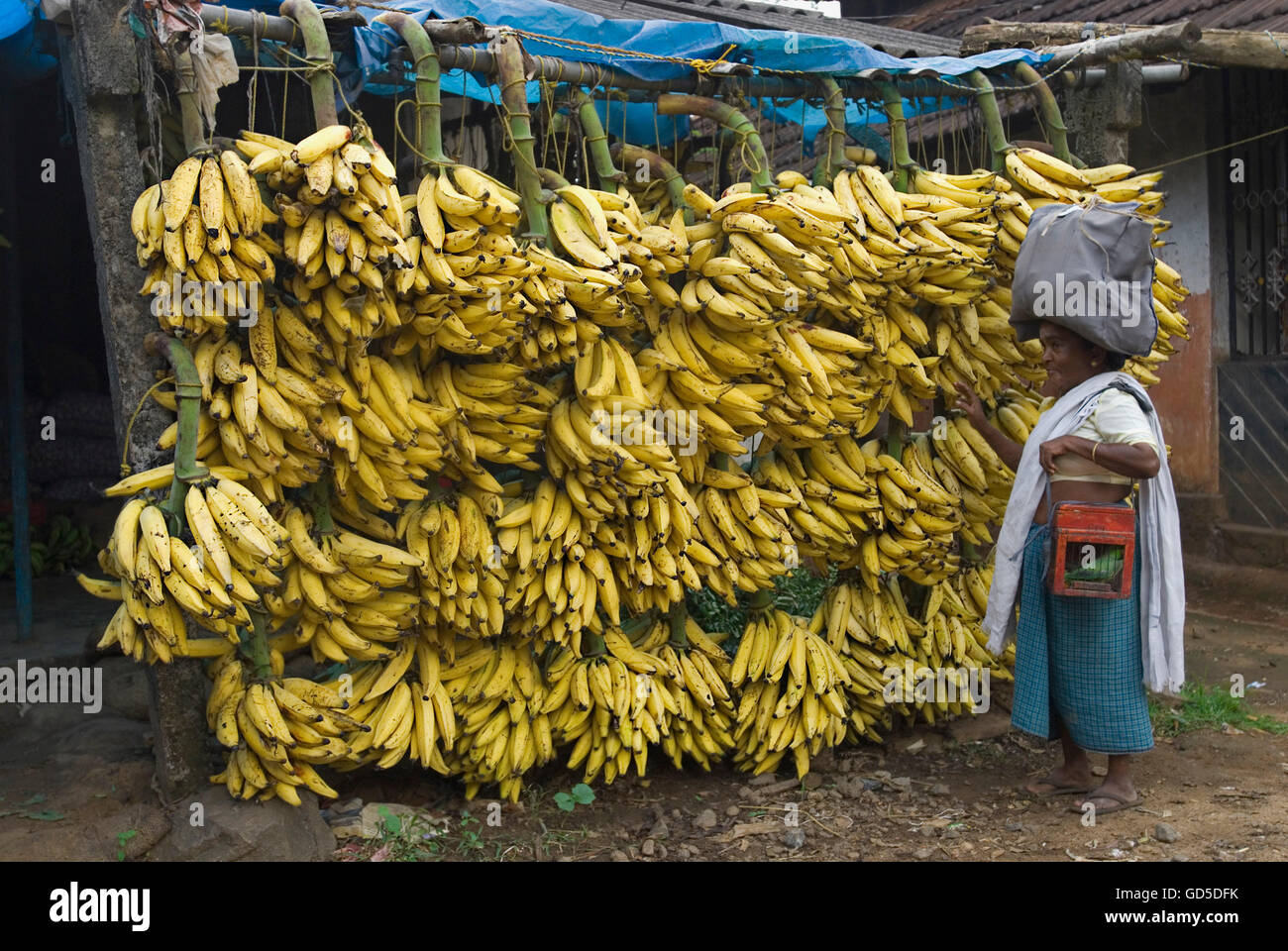 A banana shop Stock Photo Alamy