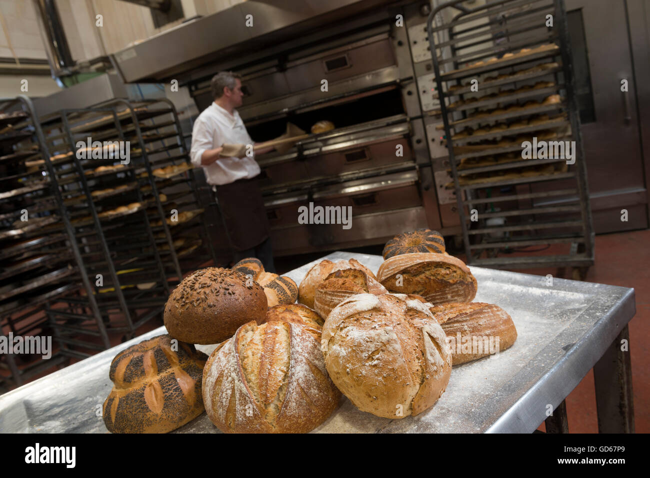Baker baking bread. England. UK Stock Photo Alamy