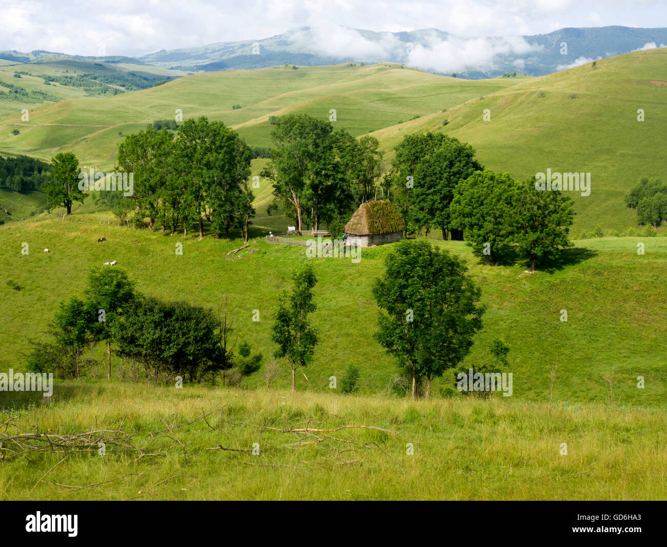 Slope top house hires stock photography and images Alamy