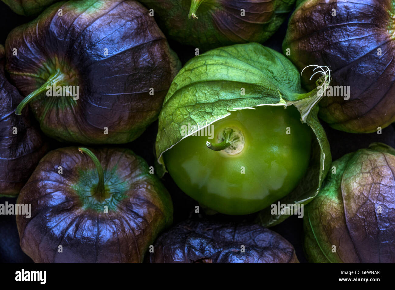 Tomatillo En Ingles