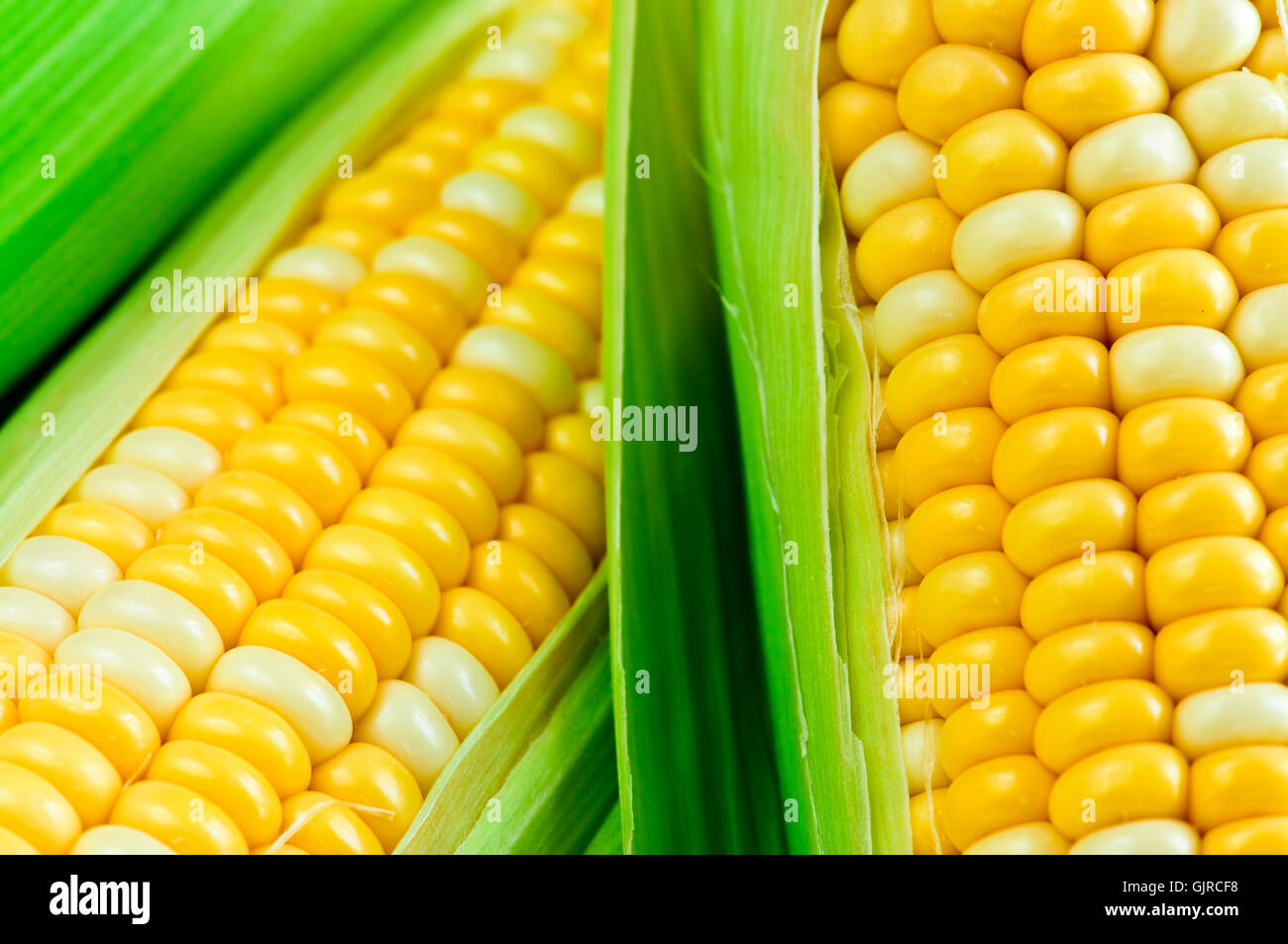 vegetable ears corn Stock Photo Alamy