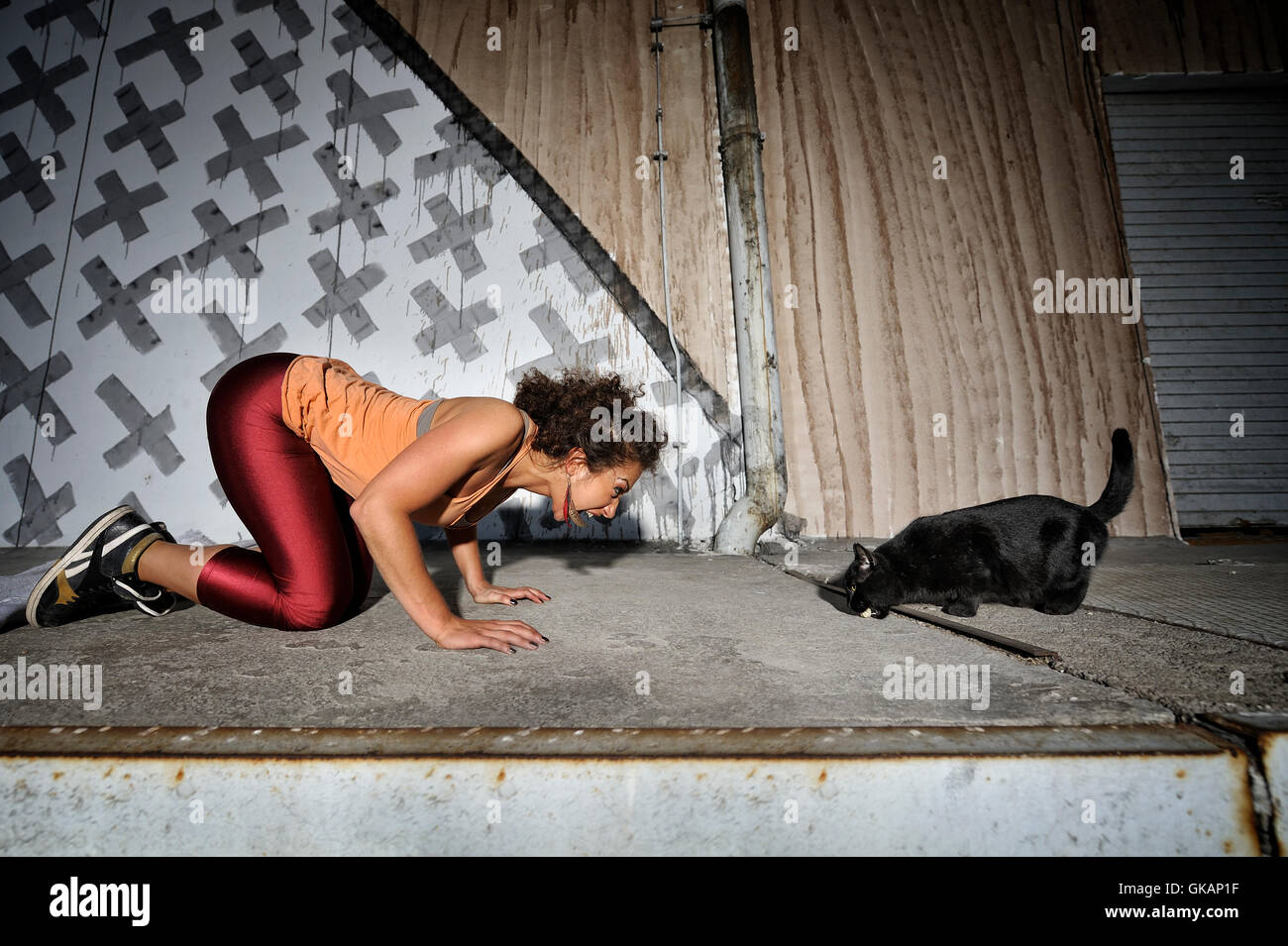 Catfight Stock Photos & Catfight Stock Images Alamy