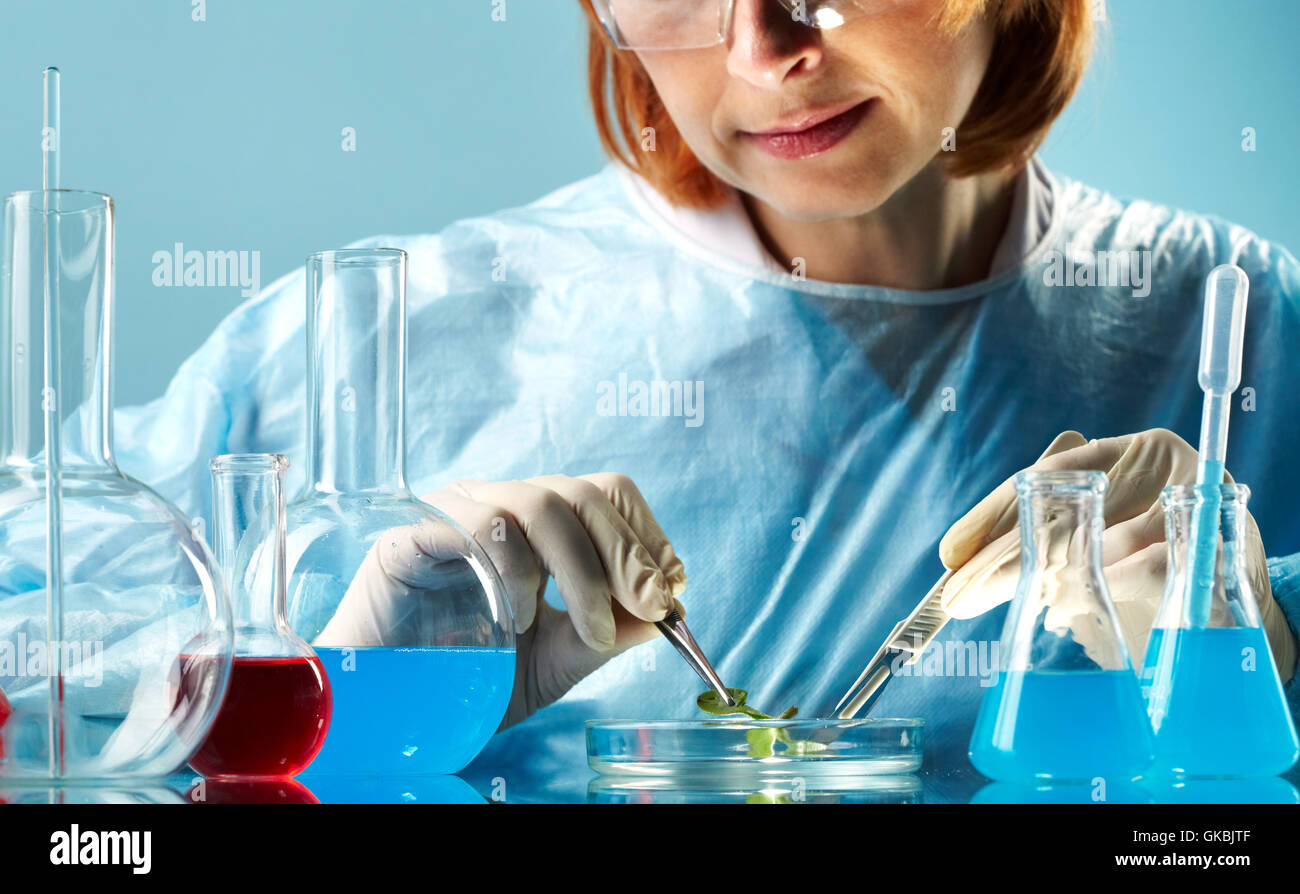 Lives inside leaf hires stock photography and images Alamy