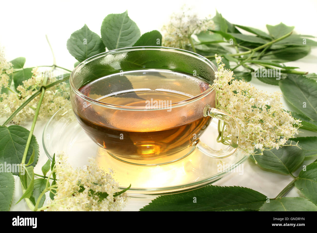 elderflower tea Stock Photo Alamy
