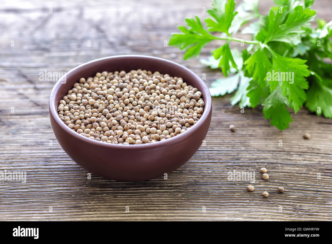 Chinese herbal medicine coriander hires stock photography and images