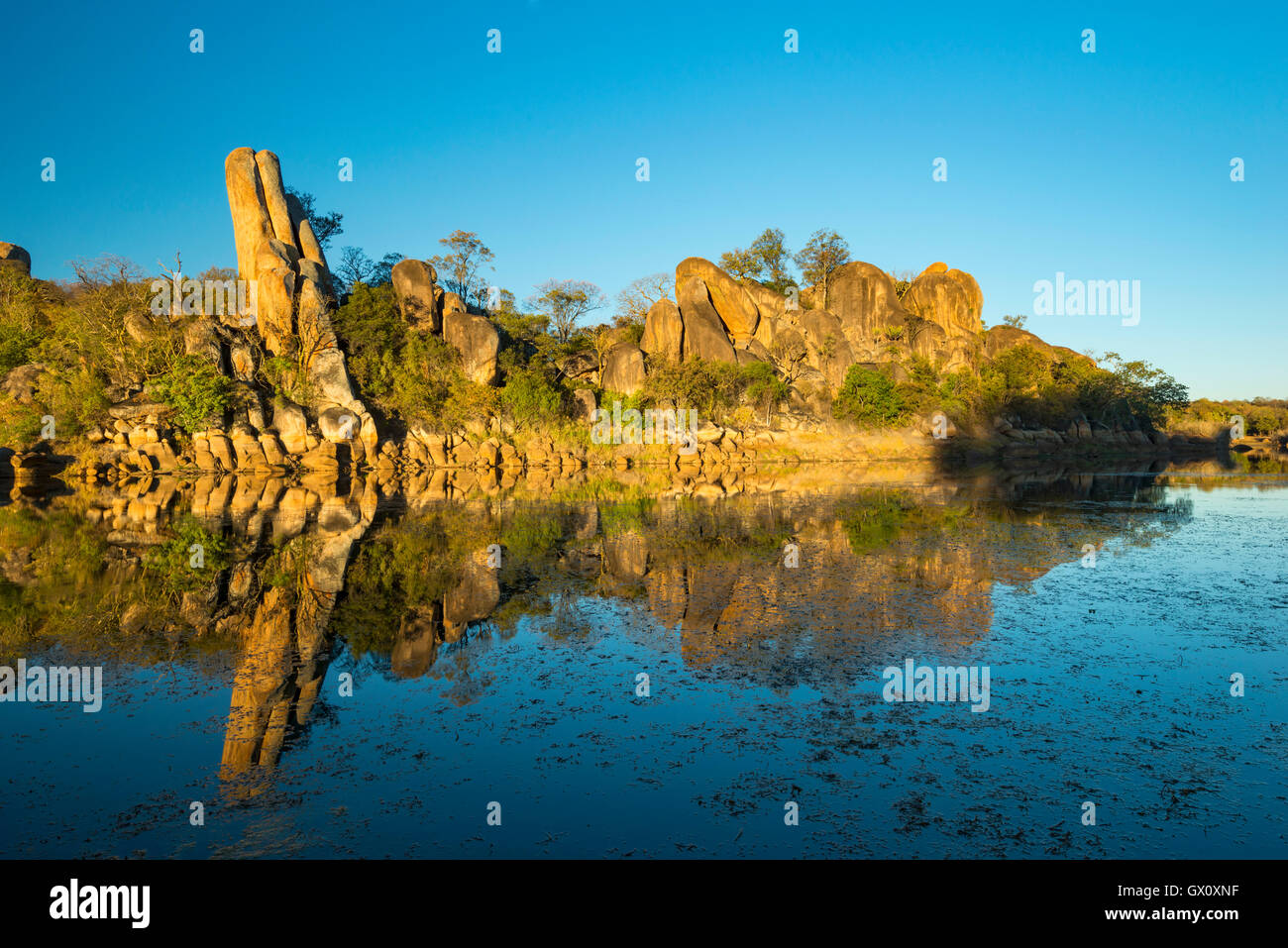 Twilight eagle sanctuary hires stock photography and images Alamy