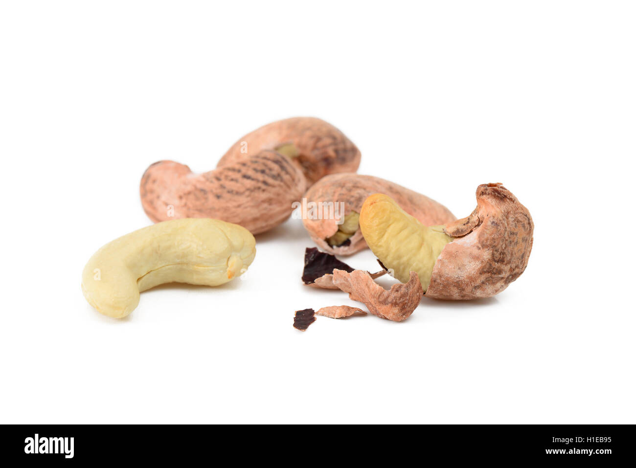 cashews with shell Stock Photo Alamy