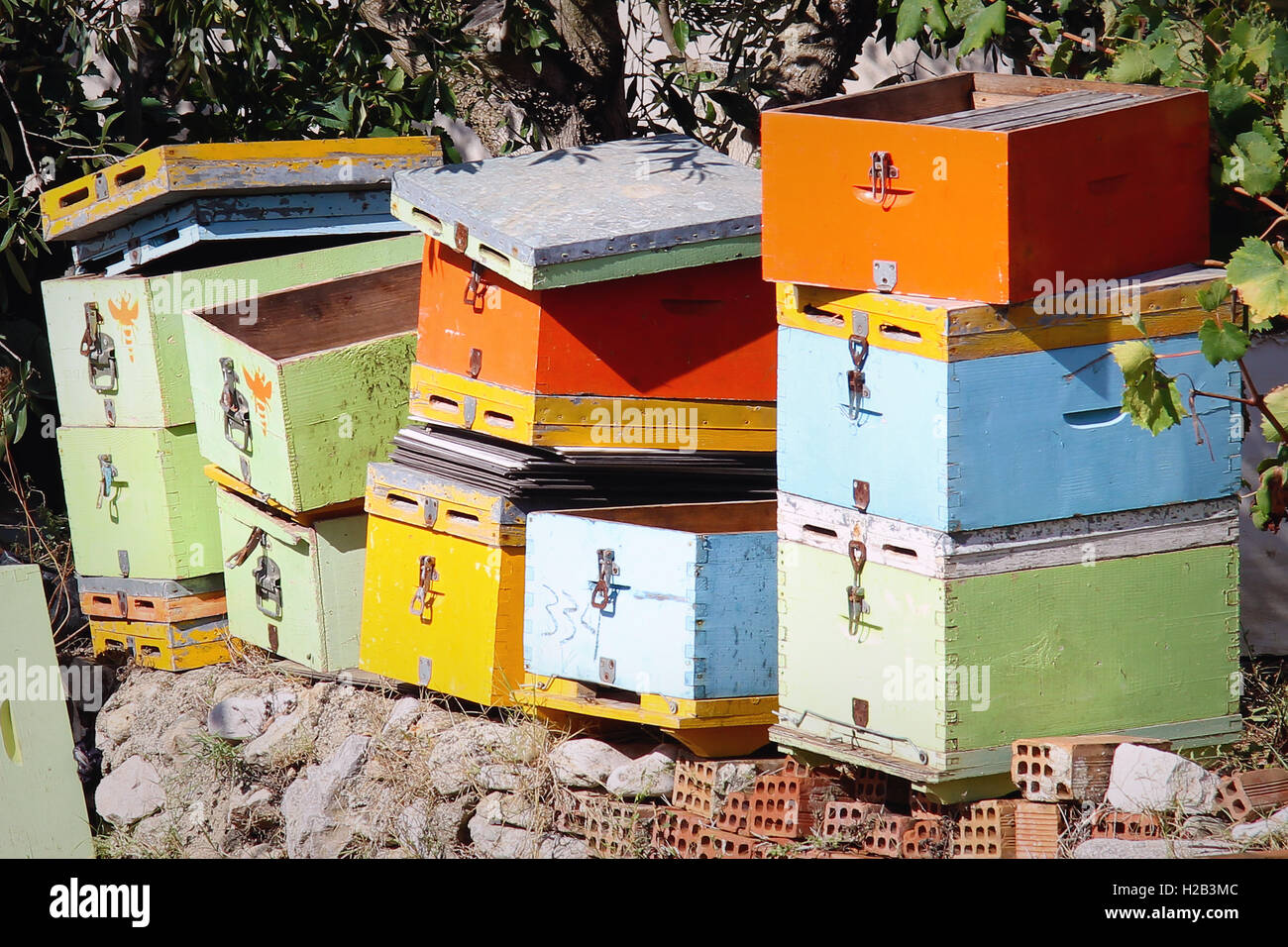 Bee boxes hires stock photography and images Alamy