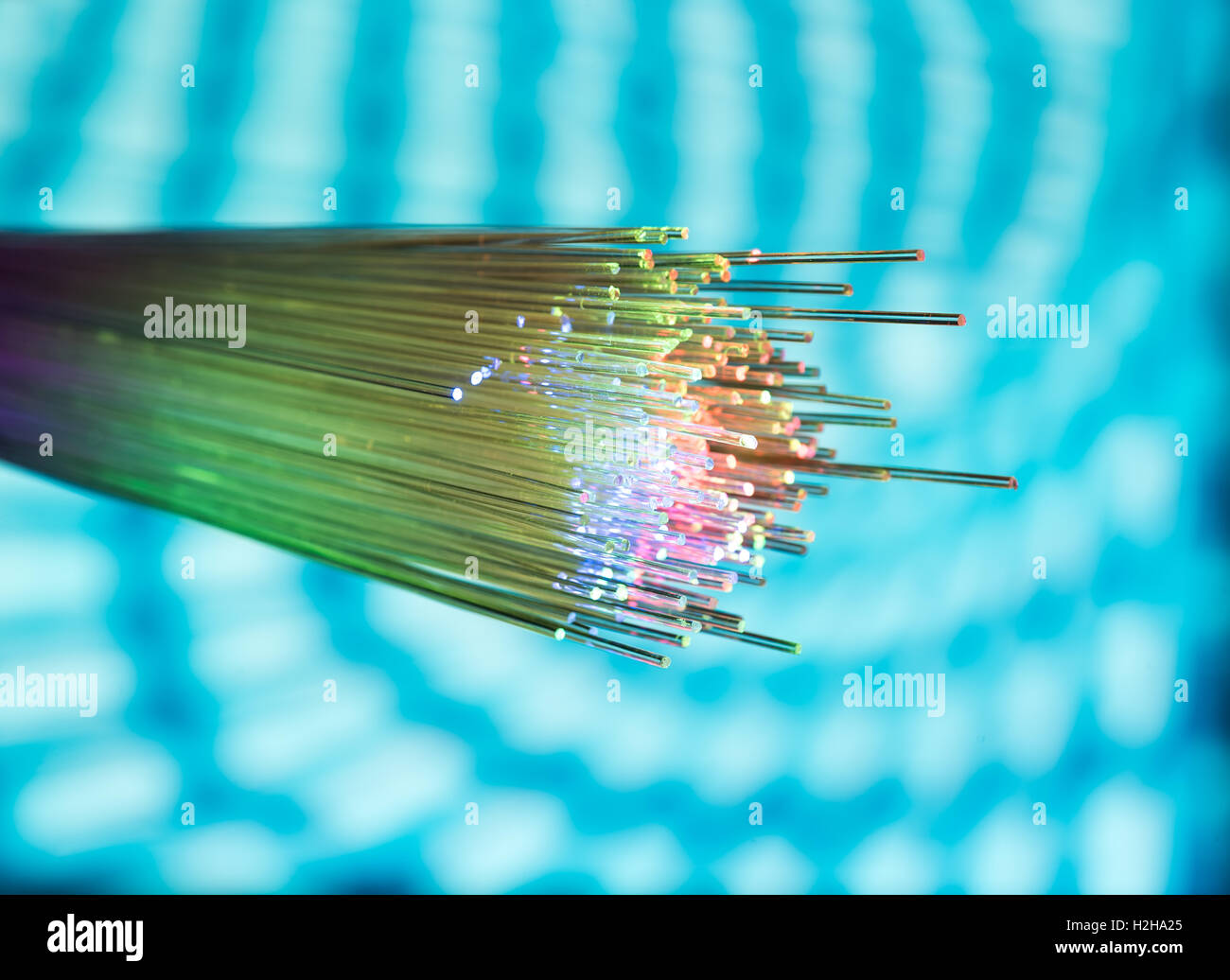fiber optical network cable Stock Photo Alamy