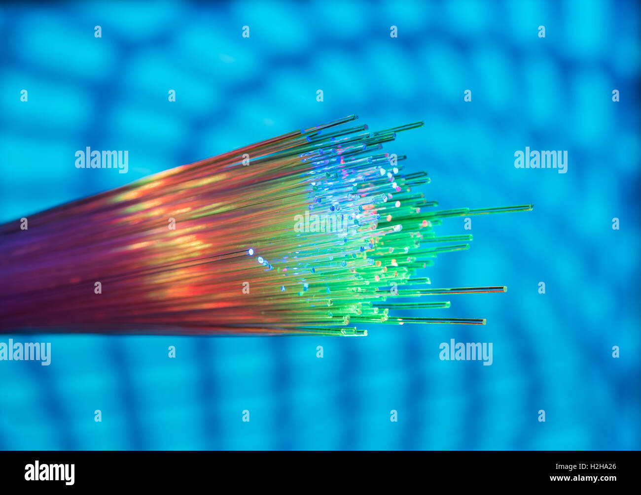fiber optical network cable Stock Photo Alamy
