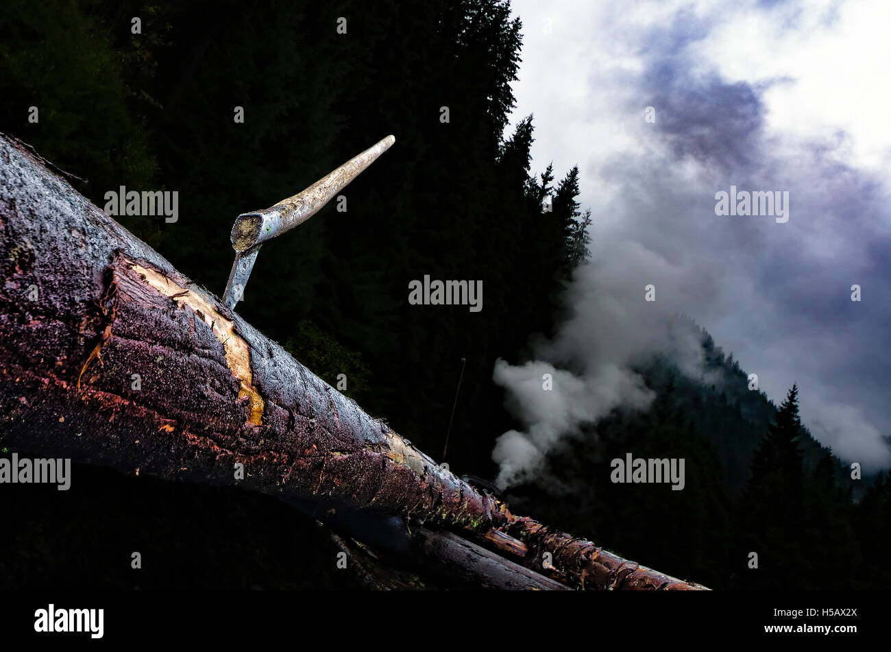 Ready for delivery Stock Photo Alamy