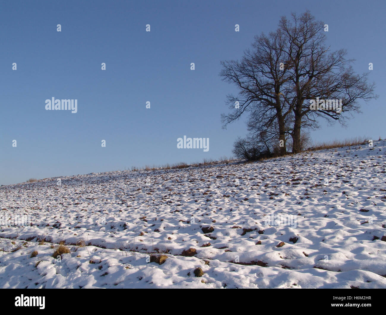 calibrate Stock Photo Alamy