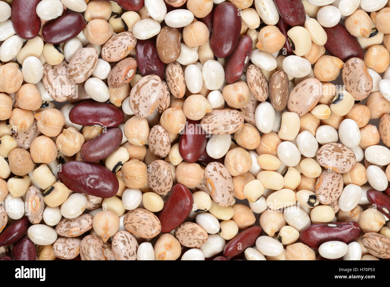 macro assorted beans Stock Photo Alamy