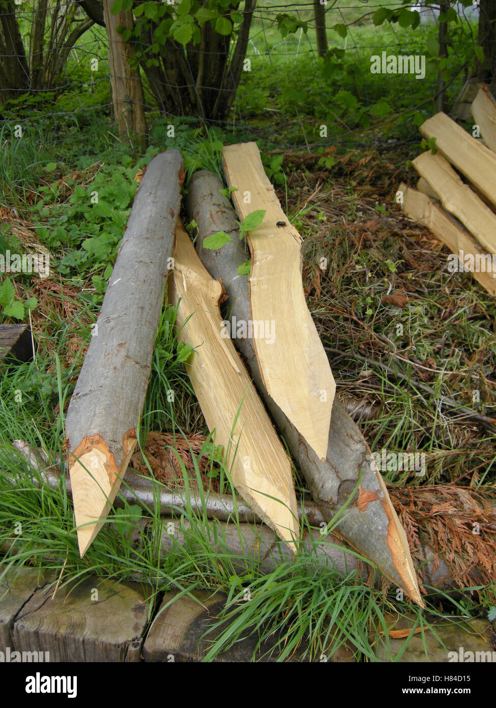 Split rail fence posts Stock Photo - Alamy