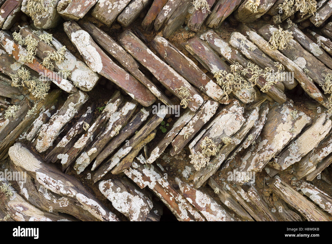 Cornish stone hedge with coursed herringbone pattern, Cornwall Stock