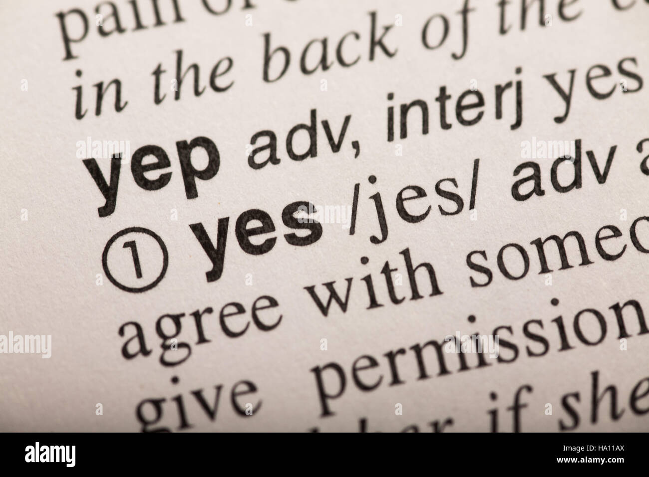 yes word in dictionary Stock Photo Alamy