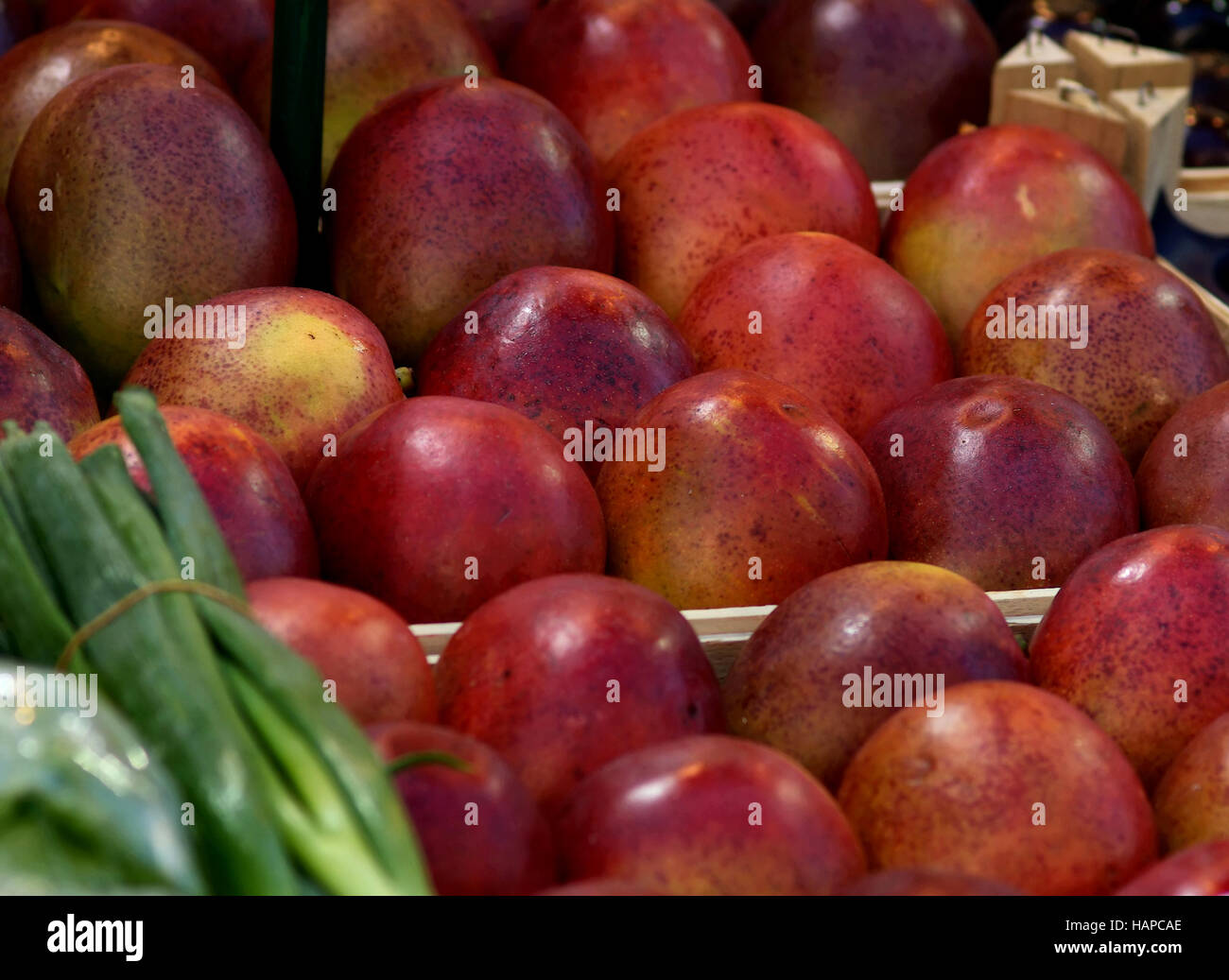 Mango orange tree hires stock photography and images Alamy