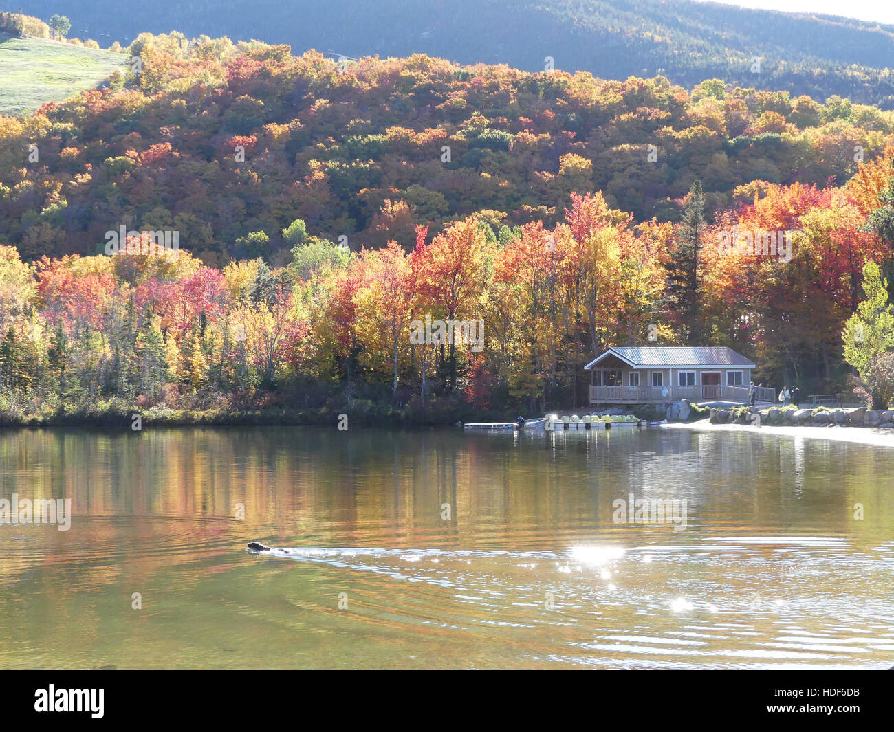Echo lake hires stock photography and images Alamy