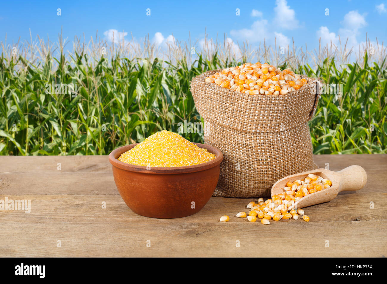 Maize on the nature background Stock Photo Alamy
