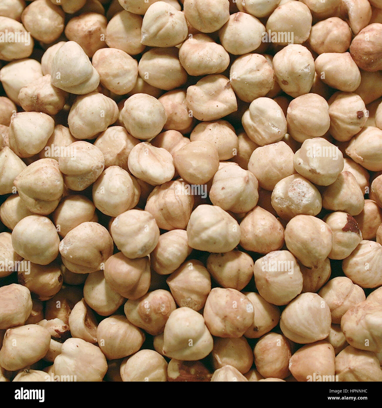 Hazelnuts eaten hires stock photography and images Alamy