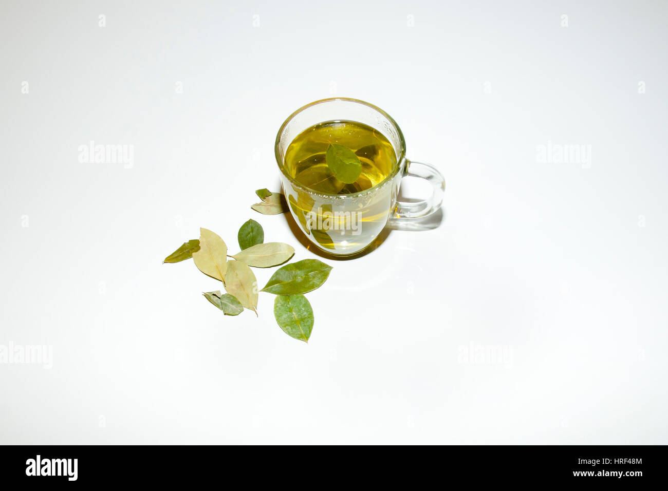 Coca Leaf Tea Stock Photo Alamy