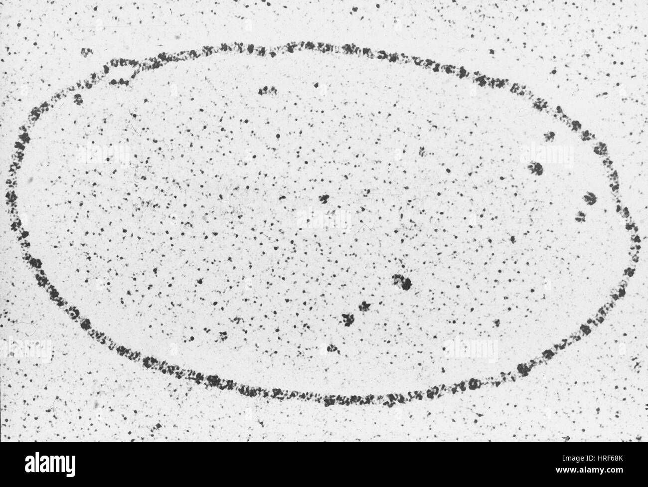 Underrated Ideas Of Tips About How To Get Rid Of Dna Loadexam