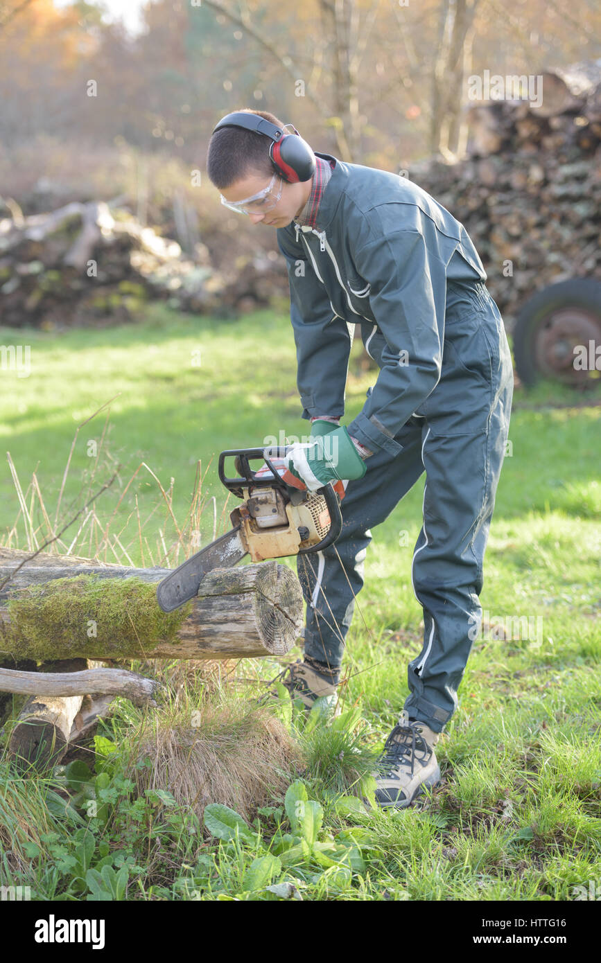 cutting a lumber Stock Photo Alamy