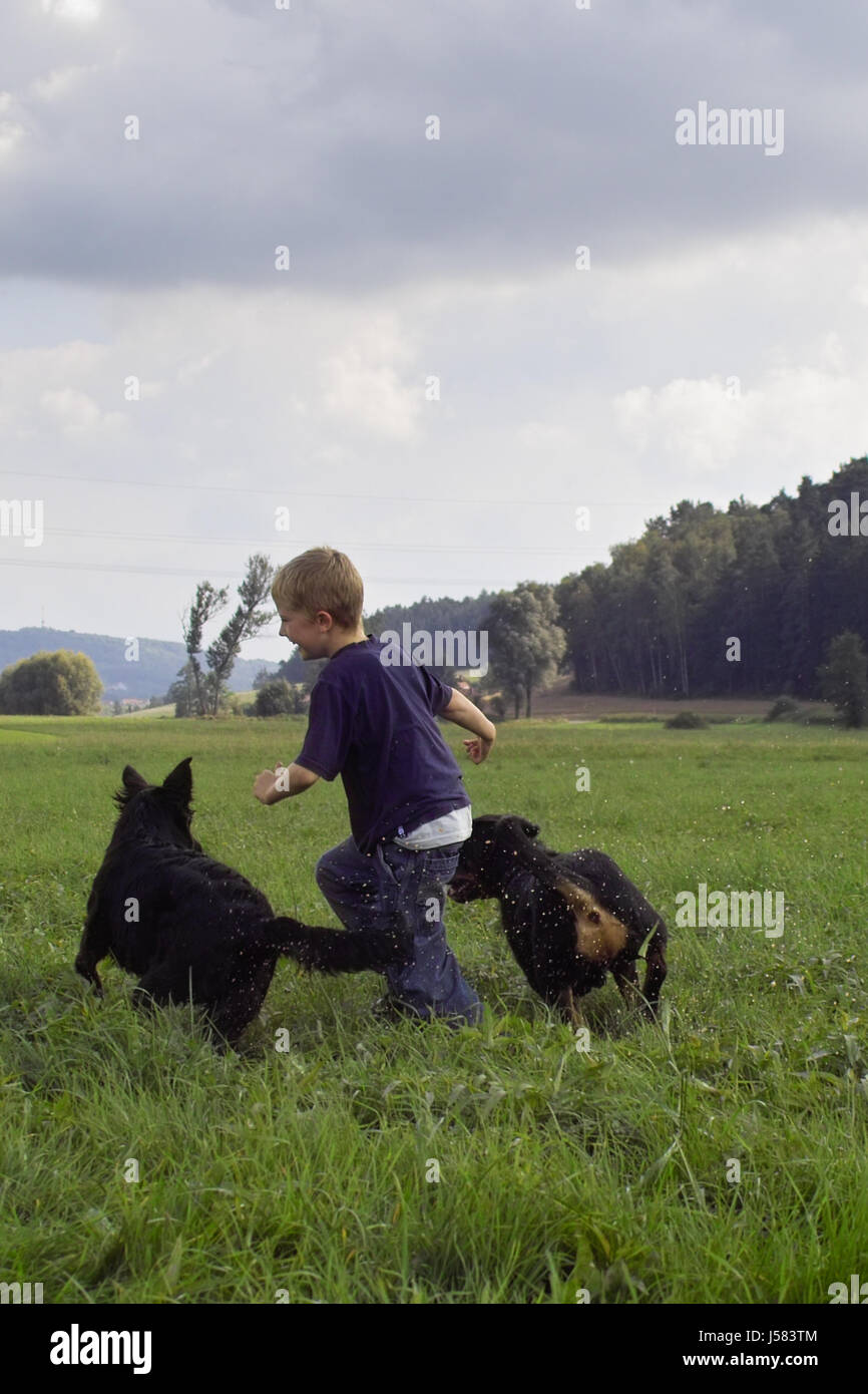 Roundabout dog hires stock photography and images Alamy
